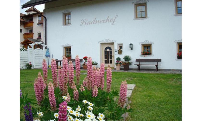 Lindnerhof Urlaub Am Bauernhof Hotell San Lorenzo di Sebato Eksteriør bilde